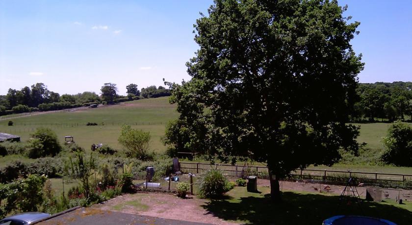 Мини-отель Cripple Creek Bed And Breakfast
