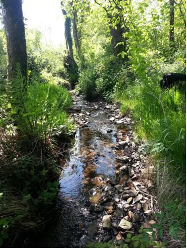 Отель Percy's Country Hotel