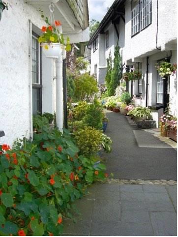 The Mews