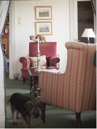 Отель Romney Bay House Hotel