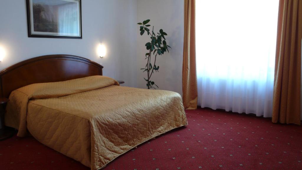 Отель Hotel Ruia