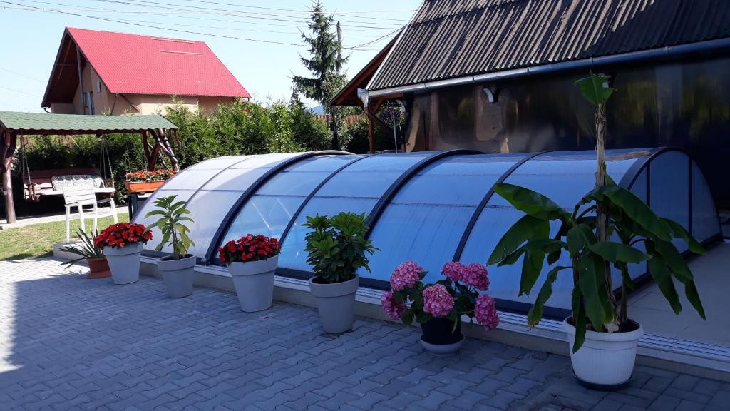 Гостевой дом Eszter Gasthaus
