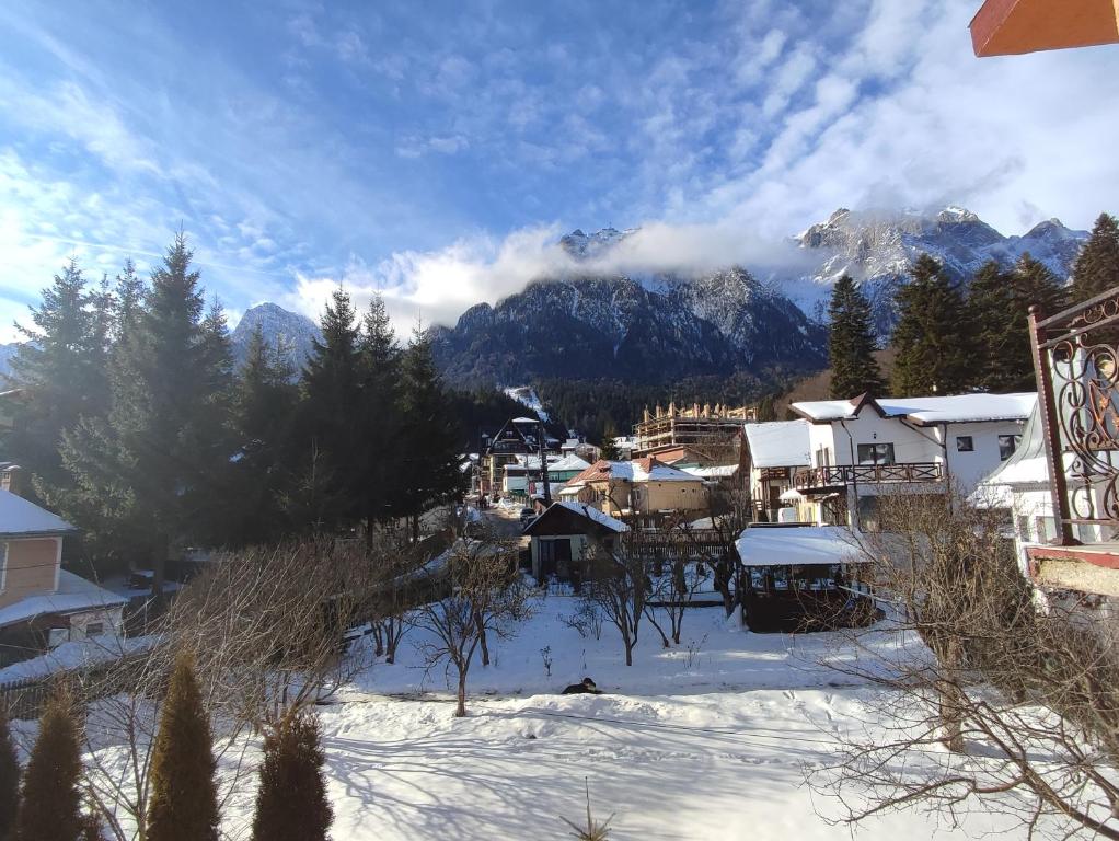 Отель Hotel Iri