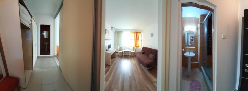 Отель Hotel Pescarus