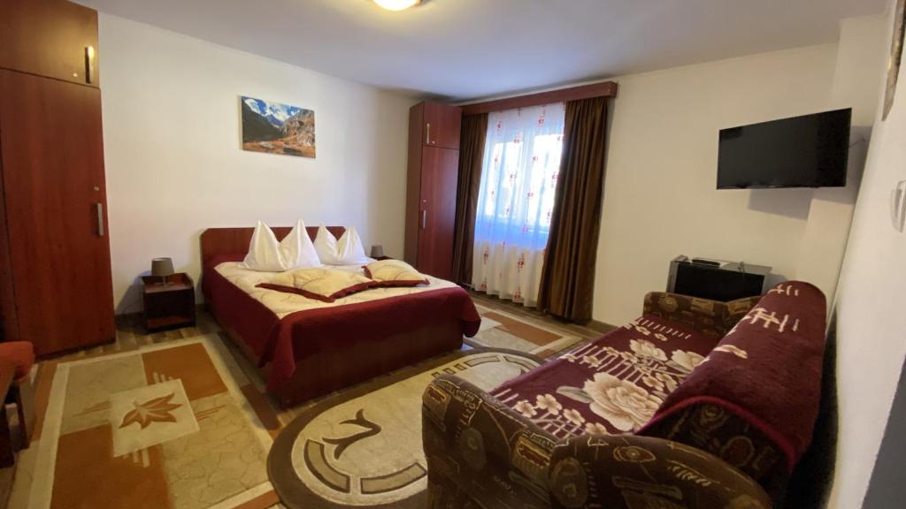Гостевой дом Pensiunea Casa Fanel