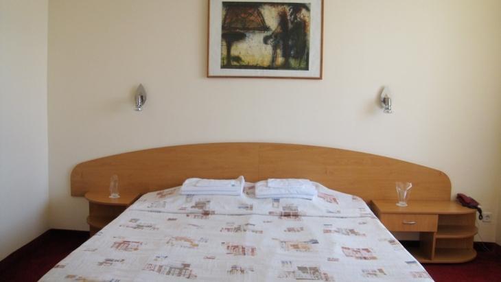 Отель Gergana Balneohotel
