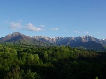 Апартаменты Ilidia Guest House