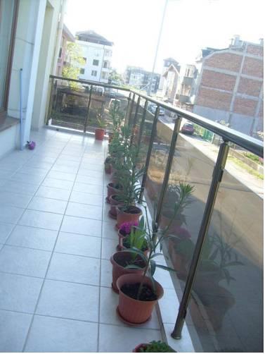 Апартаменты Vasiliko Apartments