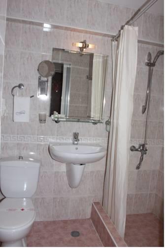 Отель SPA Hotel Borova Gora