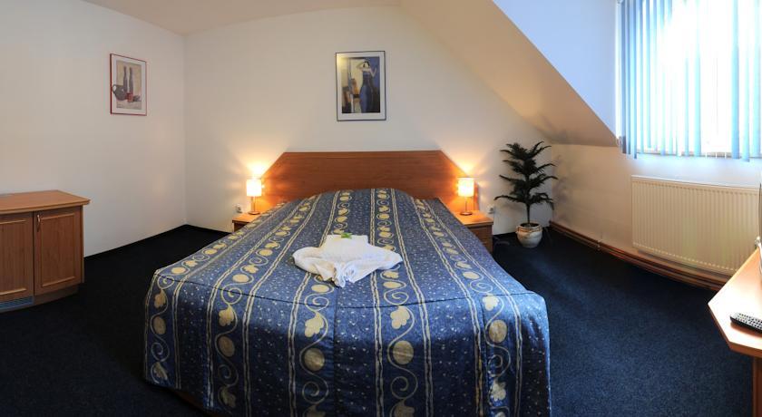 Отель Wellness Hotel Svoboda