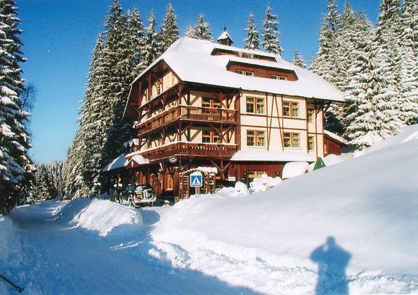Отель Hotel Modrava