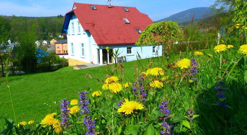 Гостевой дом Blue Pension