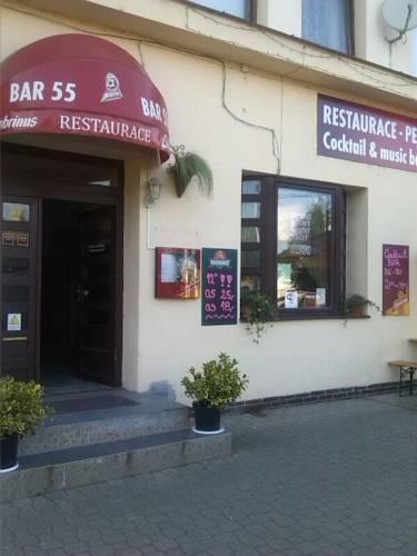Гостевой дом Penzion Na Vinici