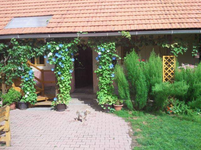 Отель Farma Zahradnice