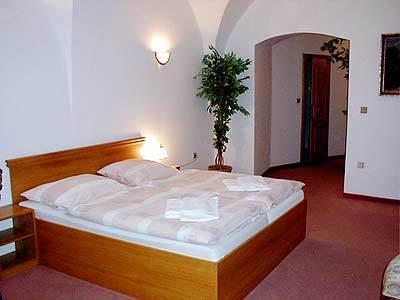 Отель Hotel U Zlateho Andela