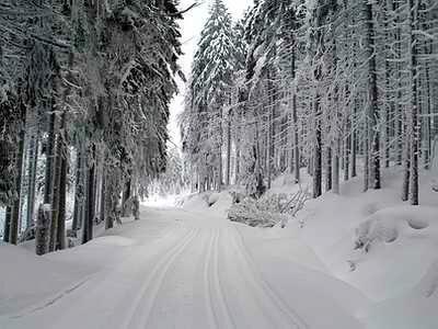 Апартаменты Einfach passend - Ferien im Harz