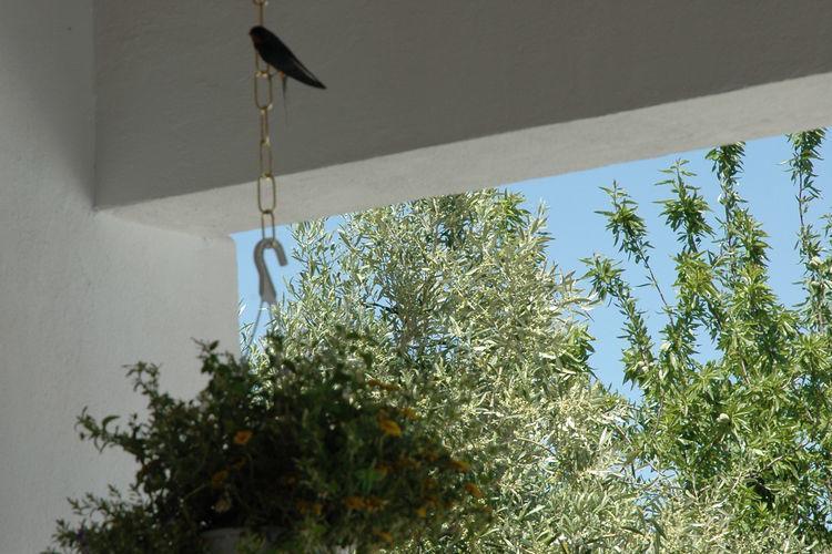 Отель Holiday Home Cabra Fuente Camacho