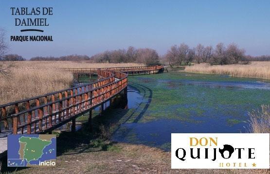 Отель Hotel Don Quijote