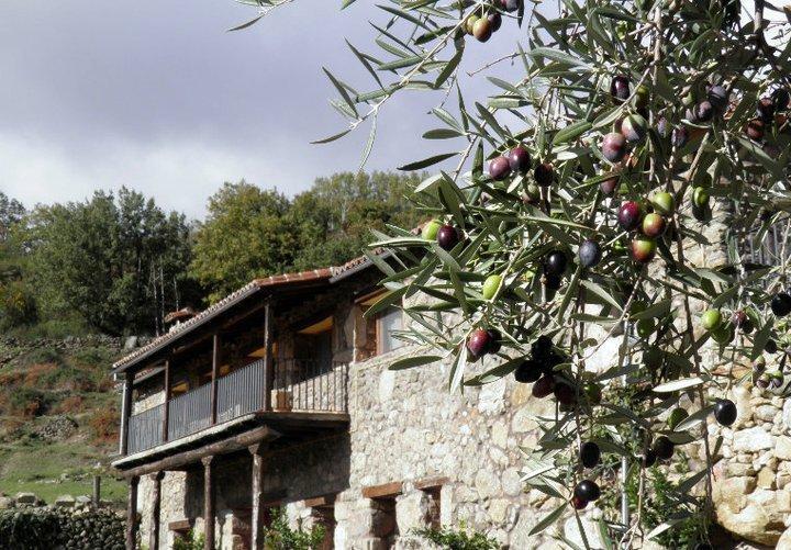 Отель Albergue El Solitario