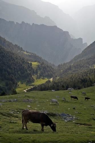 Отель Hotel Rural Can Cruells