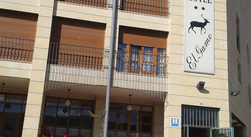 Отель Hotel El Gamo