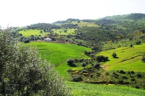 Отель Holiday Home De Tio Juan Almogia Pastelero