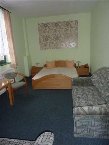 Отель Hotel Mały Młyn
