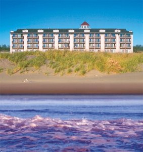 Отель Best Western Lighthouse Suites Inn