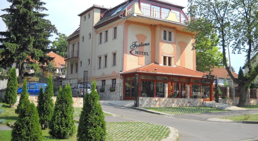 Отель Fortuna Hotel