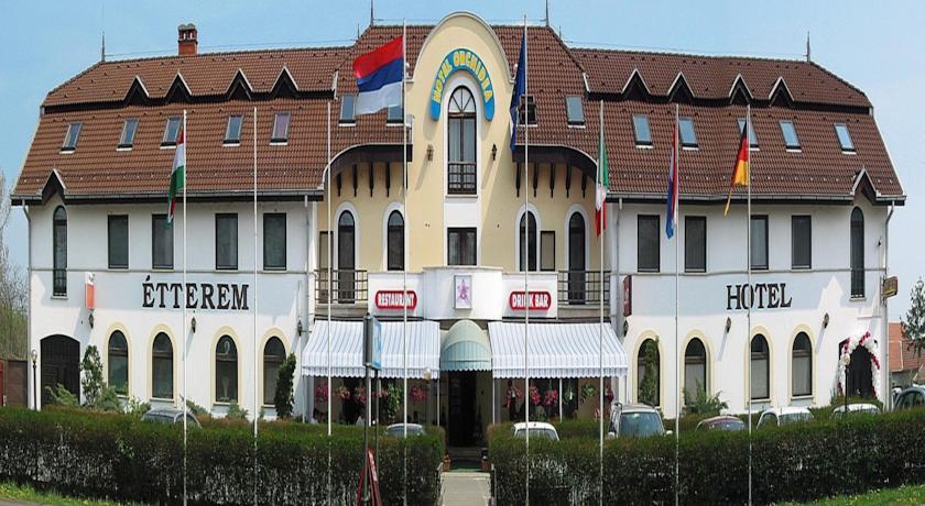 Отель Hotel Orchidea