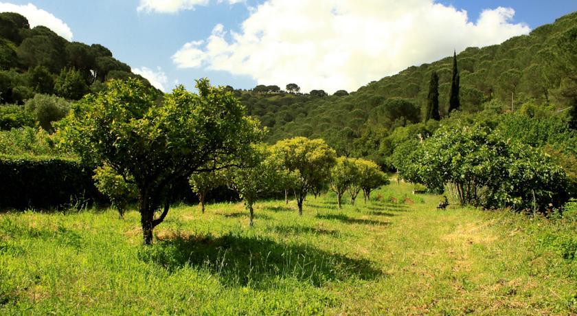 Отель Quinta de Rio Alcaide