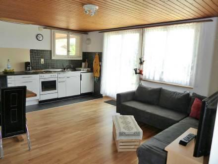 Апартаменты Apartment Zurcher Beatenberg-Waldegg