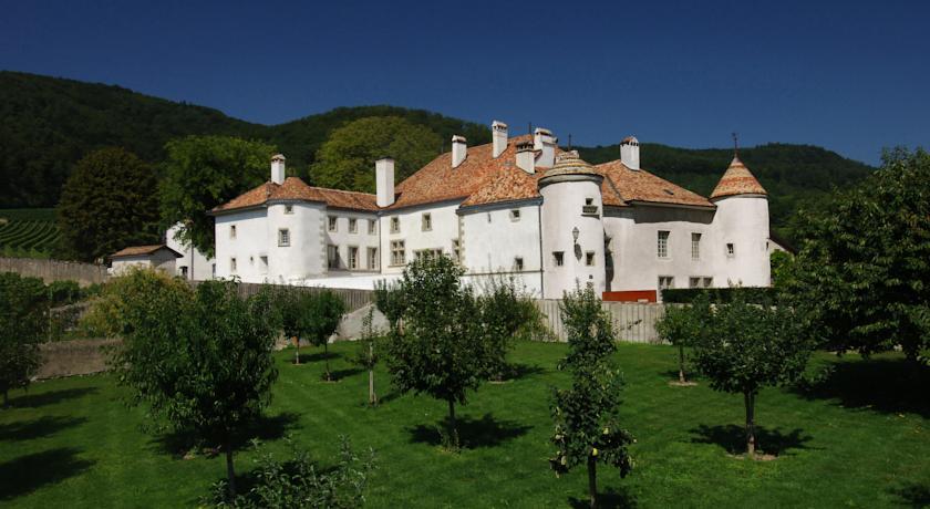 Гостевой дом Château Le Rosey