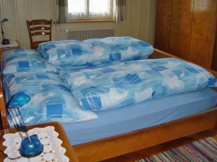 Апартаменты Apartment Herbisgasse Frutigen