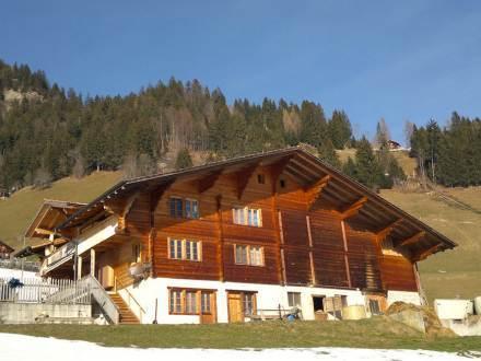 Апартаменты Apartment Studio Grossen Frutigen