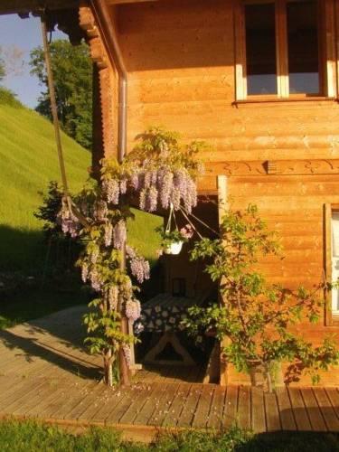 Отель B&B Bircher