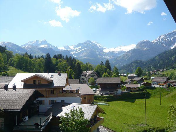 Гостевой дом Hotel Wildhorn