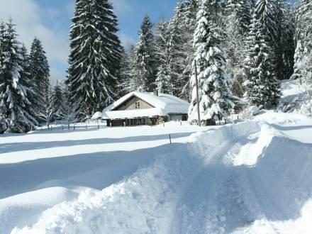 Апартаменты Holiday Home Le Coin A Dessus Le Noirmont