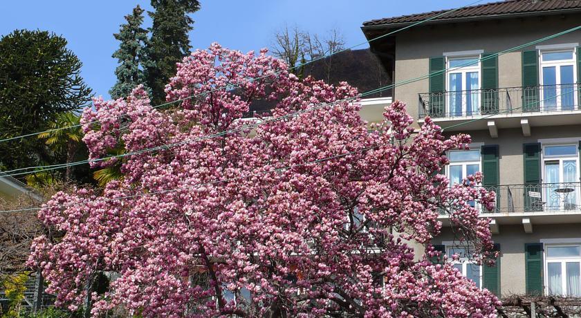Apartment Casa Locarno I Locarno Monti