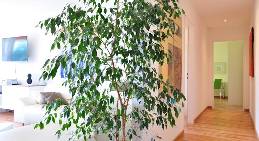 Apartment Moderna
