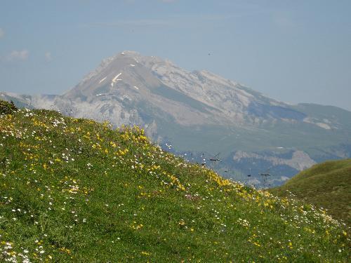 Отель Malixerhof