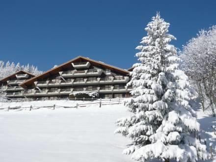 Отель Apartment Centaure II Ste Croix