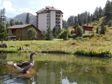 Апартаменты Apartment Mont Fort III Siviez