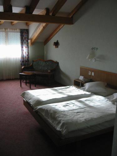 Отель Hôtel des Vignes