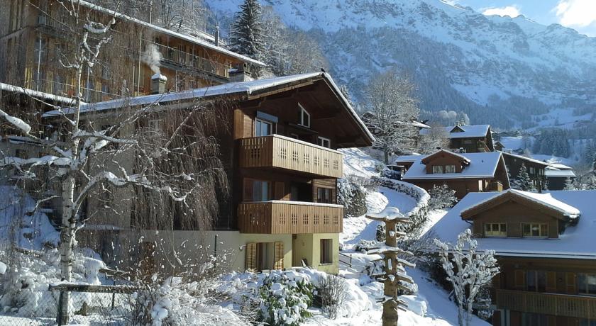 Апартаменты Chalet Gerbera