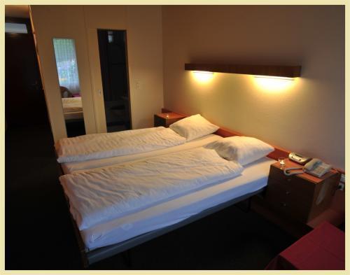 Отель Hotel Motel Löwen