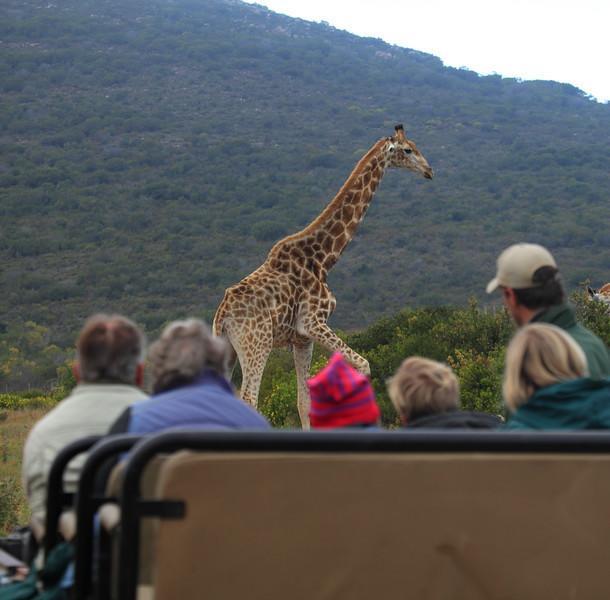 Отель Garden Route Game Lodge