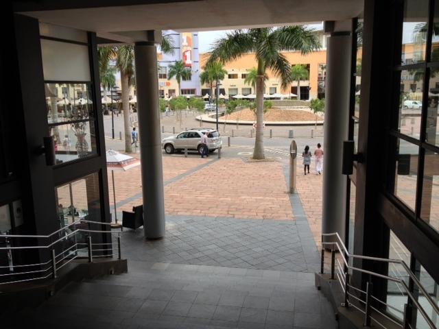 403 Palm Boulevard