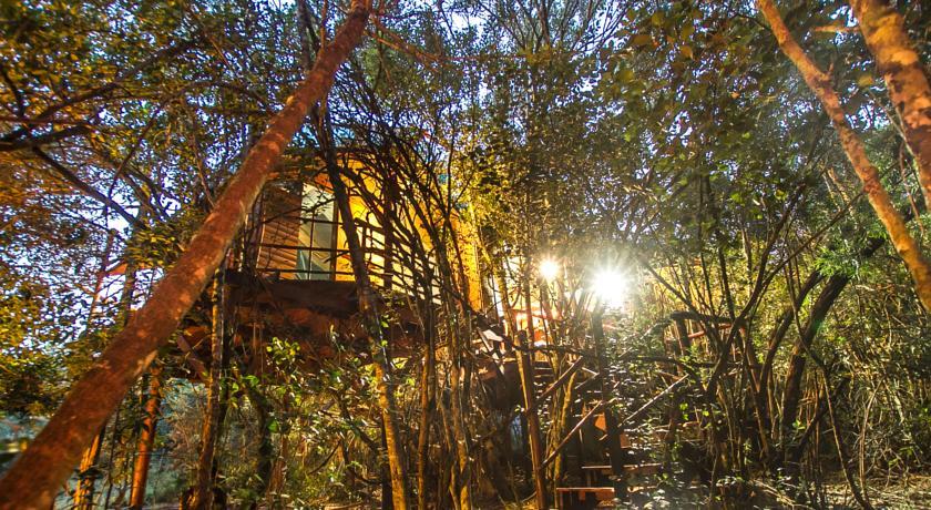 Гостевой дом Teniqua Treetops