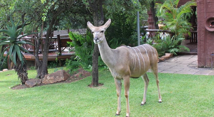 Гостевой дом Grand Kruger Lodge CC